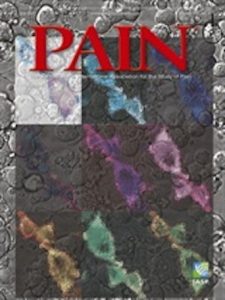 PainCover2015